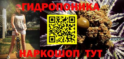 гашик Заводоуковск