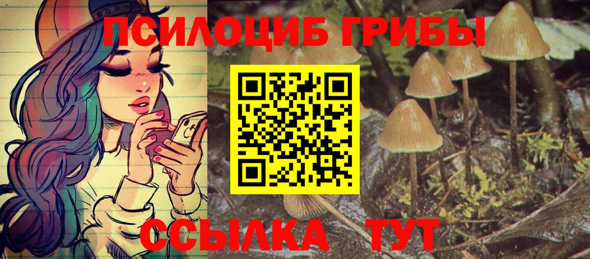 Псилоцибиновые грибы прущие грибы  где найти   Галлюциногенные грибы мухоморы  Краснознаменск  Вход с VPN 