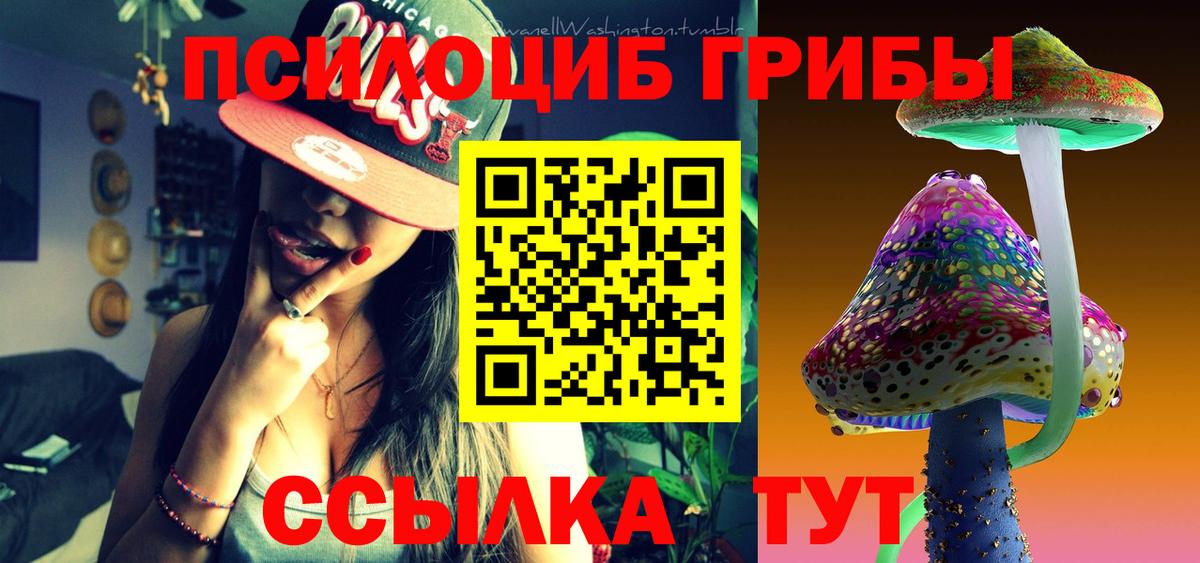 Псилоцибиновые грибы Psilocybe Краснознаменск